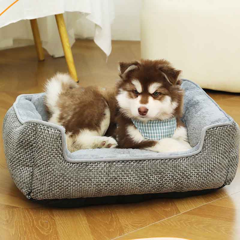 Dog Beds for Small Dogs (14)