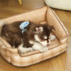 Dog Beds for Small Dogs (6)