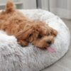 dog cave bed (5)