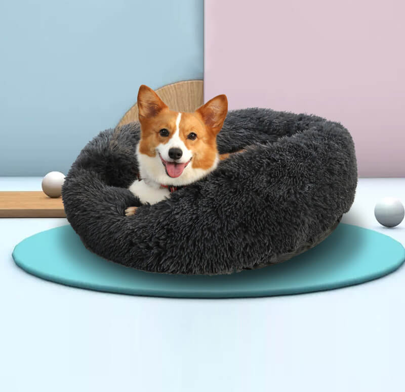 fluffy dog bed (1)