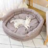 Large Dog Beds (5)