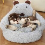 cute dog bed (4)