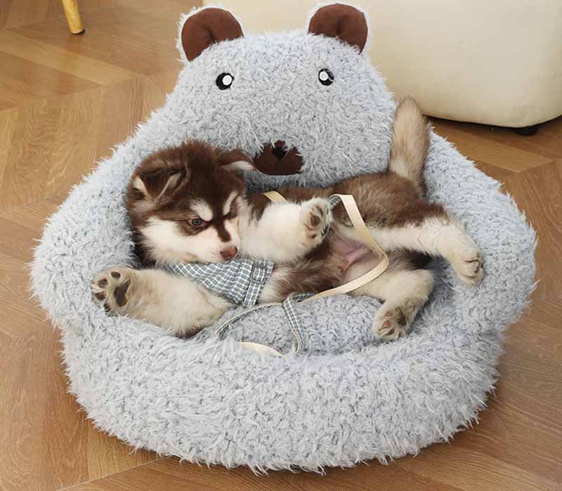 cute dog bed (4)