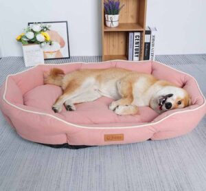 dog bed orthopedic (28)