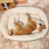 dog bed sofa (14)