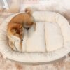 dog bed sofa (7)