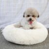 round fluffy dog bed (517)