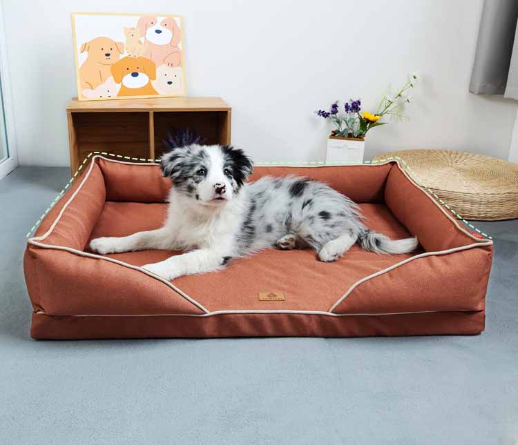 small dog sofa bed-PJFY012 (9)