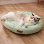 squishmallow dog beds PJFY007 (9)