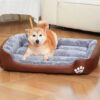 washable beds for dogs (7)