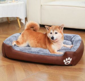 washable beds for dogs (9)