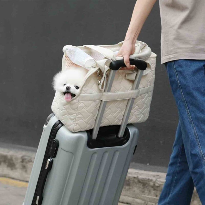 small dog carrier bag (5)